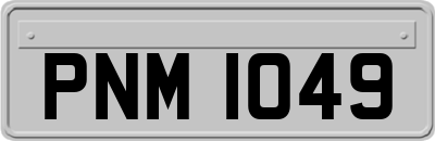 PNM1049