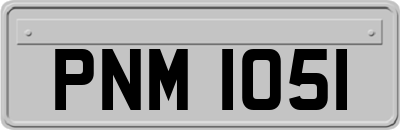 PNM1051