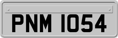 PNM1054