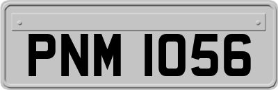 PNM1056