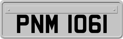 PNM1061