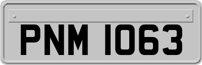 PNM1063