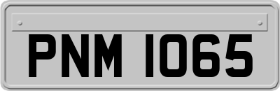 PNM1065