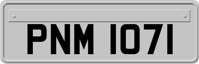 PNM1071