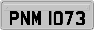 PNM1073