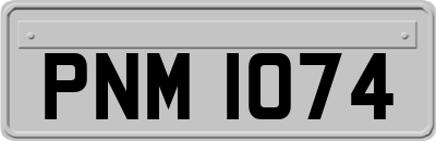 PNM1074