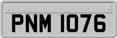 PNM1076