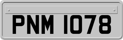 PNM1078