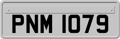 PNM1079