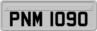 PNM1090