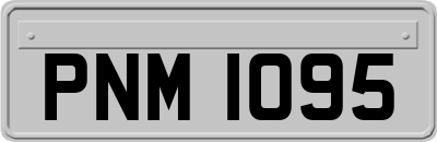 PNM1095