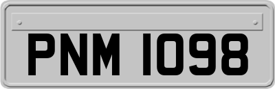 PNM1098