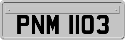 PNM1103