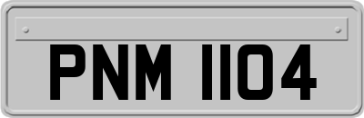PNM1104
