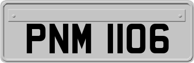 PNM1106