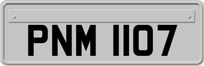 PNM1107