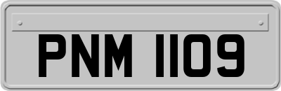 PNM1109