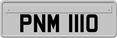 PNM1110