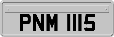 PNM1115