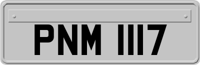 PNM1117