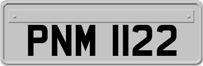 PNM1122