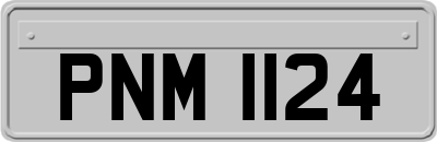 PNM1124