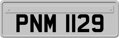PNM1129