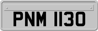 PNM1130