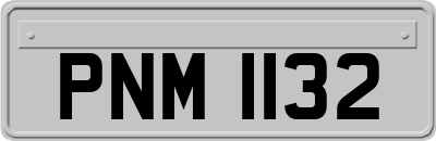 PNM1132