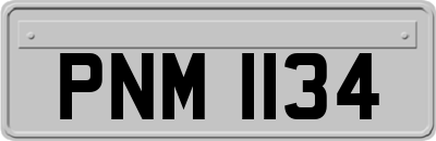 PNM1134