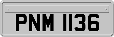 PNM1136