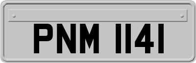 PNM1141