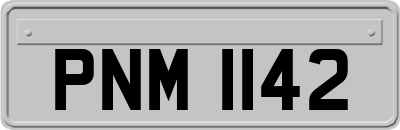 PNM1142