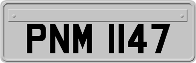 PNM1147