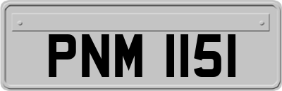 PNM1151