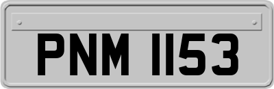 PNM1153