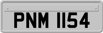 PNM1154