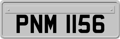 PNM1156
