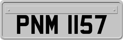 PNM1157