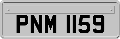 PNM1159