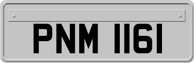 PNM1161