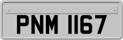 PNM1167