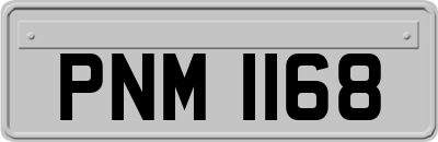 PNM1168