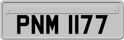 PNM1177