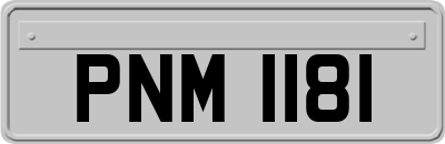 PNM1181