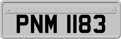 PNM1183