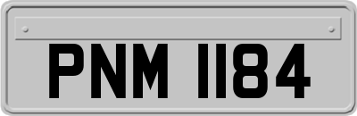 PNM1184