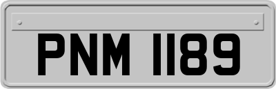PNM1189