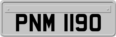 PNM1190