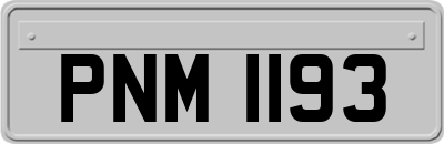 PNM1193